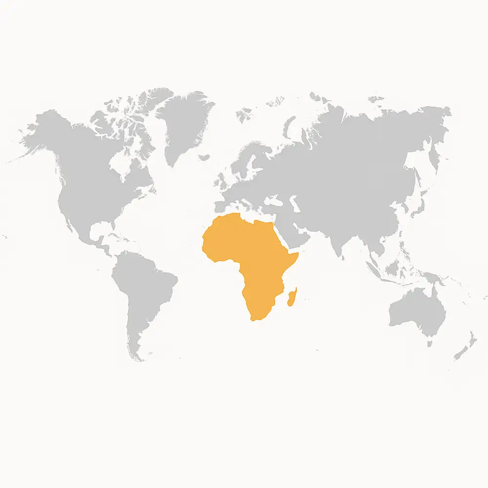 Highlighted Africa section of world map