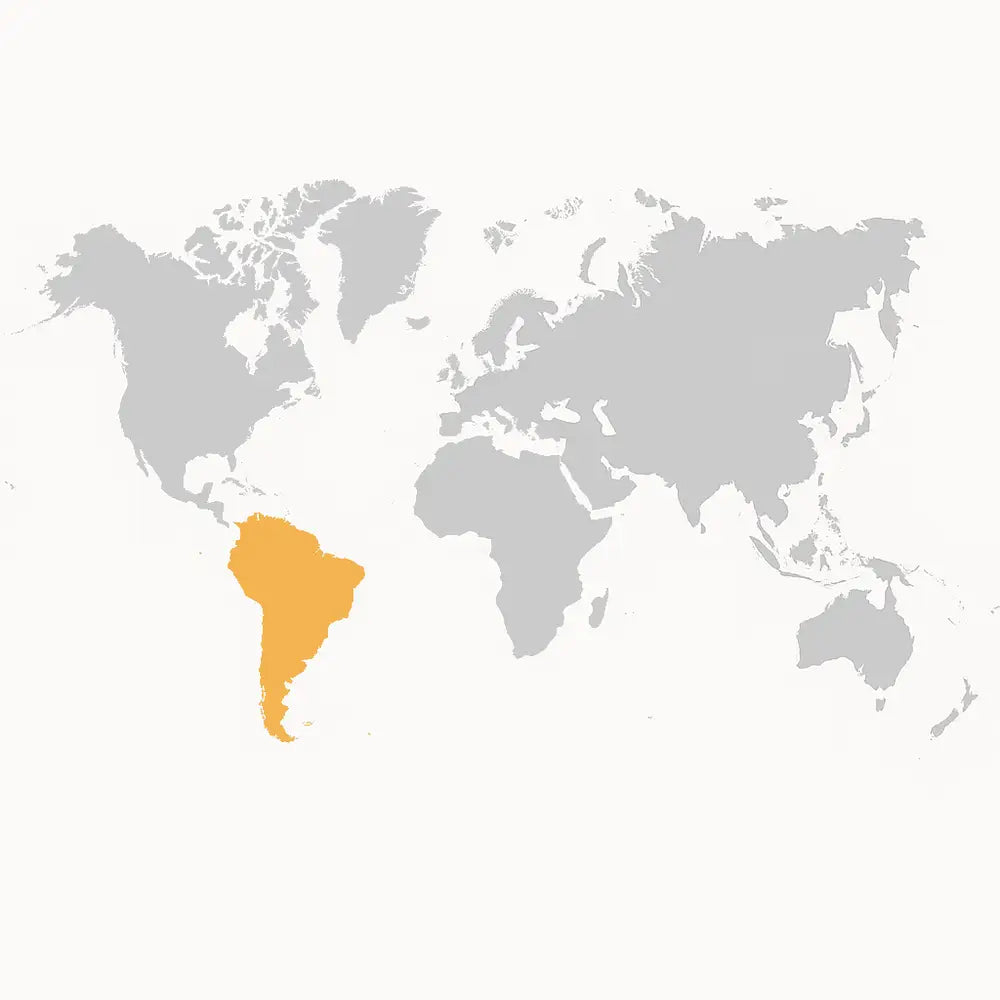 Highlighted South America section of world map