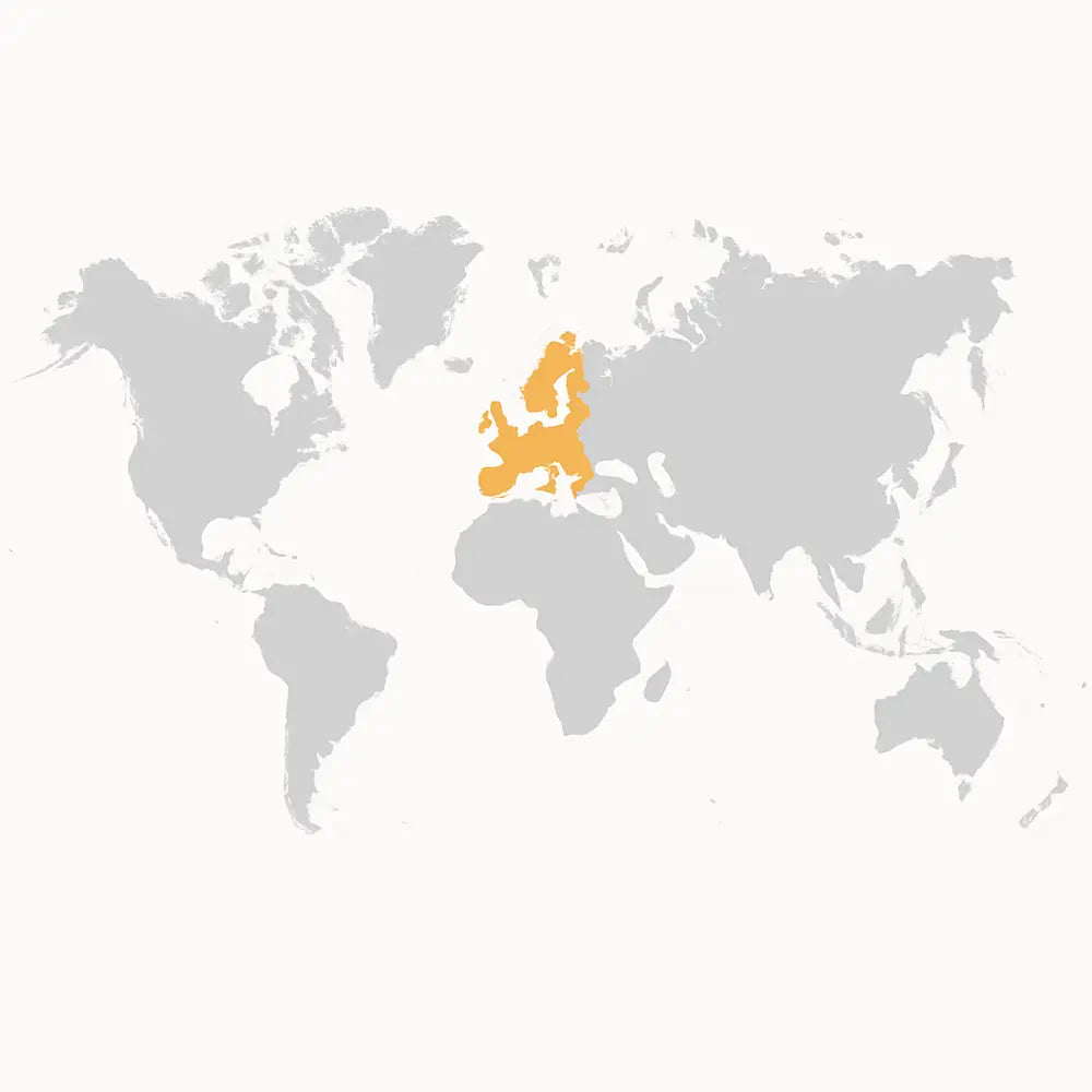 Highlighted Europe section of world map